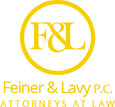 Feiner and Lavy immigration law